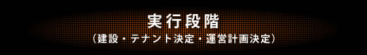 実行段階（建設・テナント決定・運営計画決定）