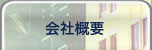 ЊTv