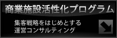 商業施設活性化プログラム